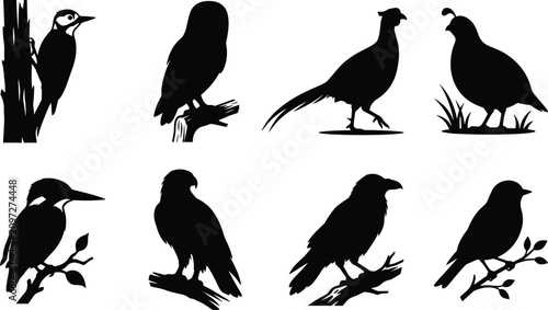 Foto Wild birds icons set featuring black silhouettes of different bird species isola