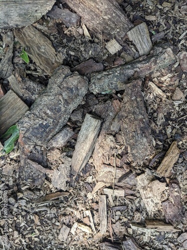 A top-down texture shot of dry, weathered tree bark and wood mulch scattered on the forest floor, ideal for rustic or natural backgrounds