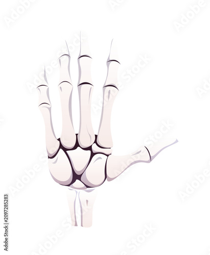 Canvastavla Halloween skeleton hand gesture, vector scary holiday