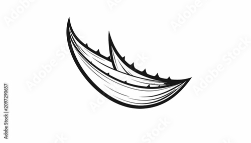 Fotografía Black and white drawing of shark tooth.