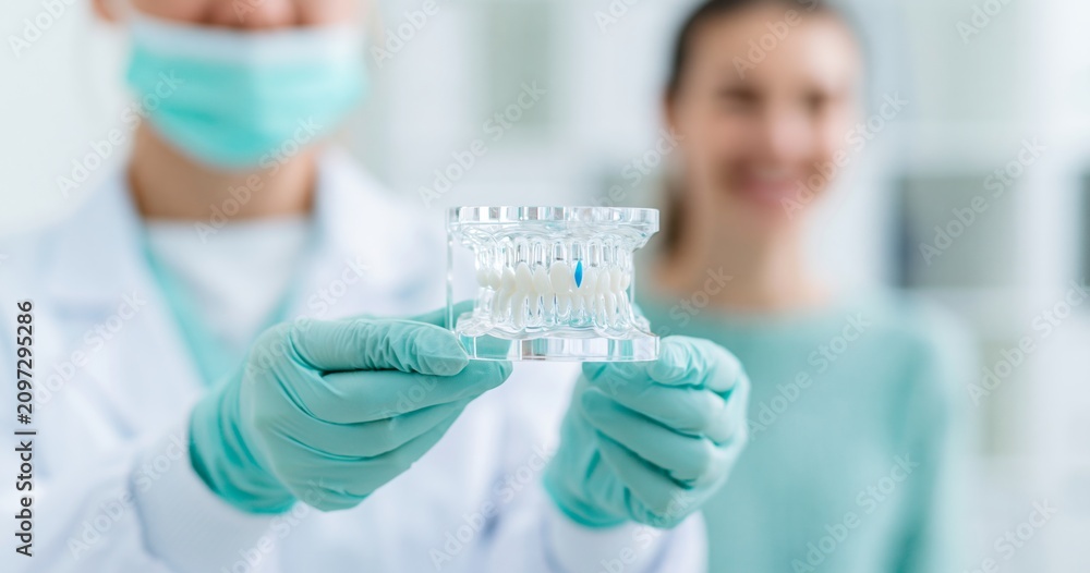 Fototapeta premium Dentist holding dental model with patient