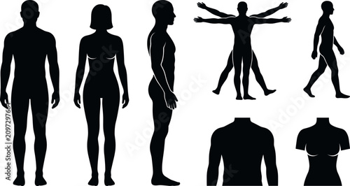 Schilderij op canvas Human Body Proportion and Anatomy Silhouette Icon Set Featuring Male Female Fron