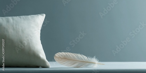 White feather and pillow on bed