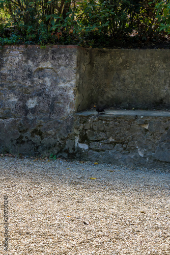 Photos Weathered stone wall with a ledge beside a gravel path in an old garden