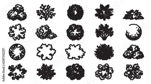 Foto Landscape design tree symbols, 20 architectural plan view plant icons, black and