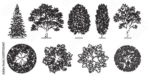 Tableau sur toile Architectural tree symbols for landscape design, black and white vector set of 9
