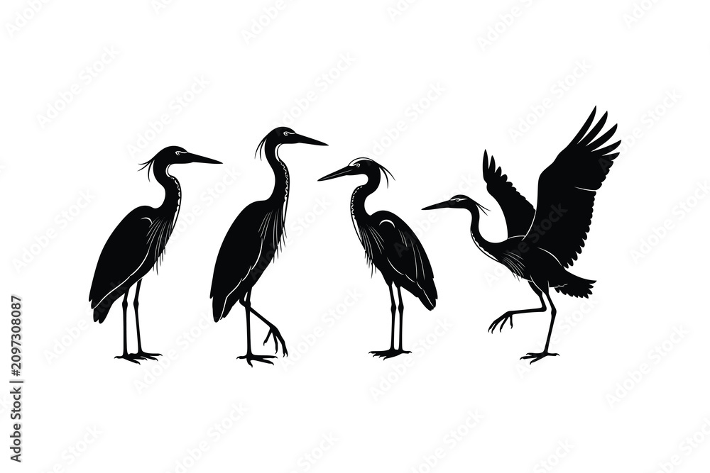 Obraz premium Great Blue Heron Silhouettes Set in Black and White