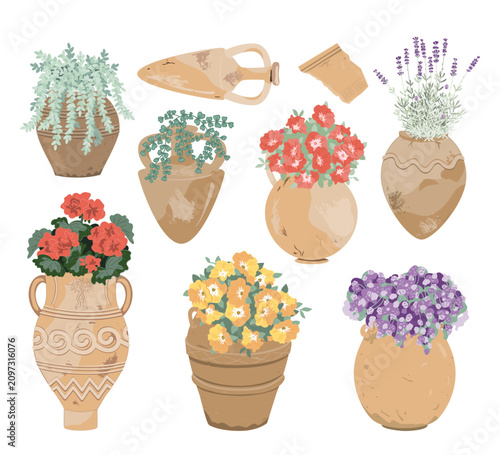 Set of Flowers Potted in the earthenware pottery. Gardens decorative elements collection isolated on a white background. Vector illustration