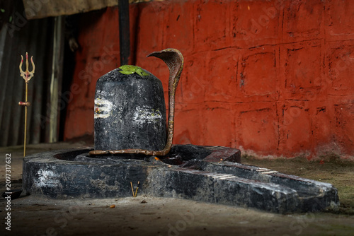 Sacred Shiva Lingam with Cobra and Trishul Inside a Hindu Temple, India