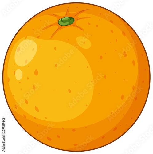 Fresh Whole Orange Fruit Vector Illustration on White Background