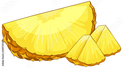 Fresh Pineapple Slices and Wedges Vector Illustration on White Background