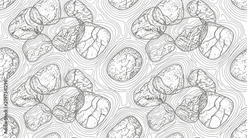 Fotografie Abstract seamless pattern with zen stones and topographic contour wavy lines
