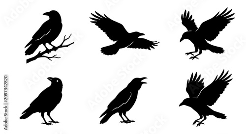 Bild auf Leinwand 70 Black Crow Silhouettes, Avian Vector Icons Set: Perched, Flying, and Calling