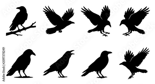Tableau sur toile 70 Set of 8 Black Raven Silhouettes, Flying and Perched Birds, Gothic and Mystic