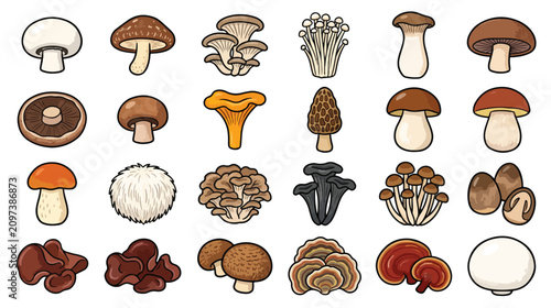 Fotografía Crayon Style Mushroom Collection Icon Set Illustration