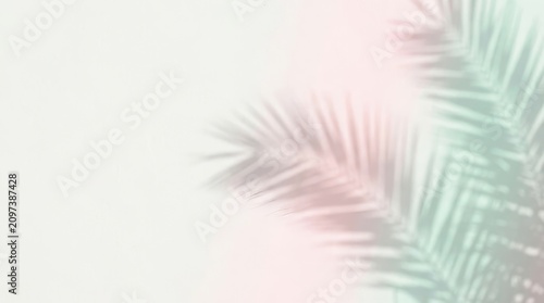 Aesthetic Tropical Palm Leaf Shadow on Pastel Background