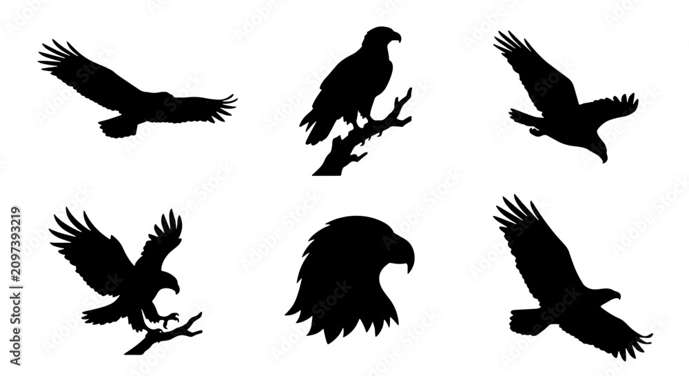 Obraz premium 70 Eagle Silhouettes Collection, Majestic Birds in Flight and Perched Poses, Vector Graphics for Wildlife and Freedom Themes 100