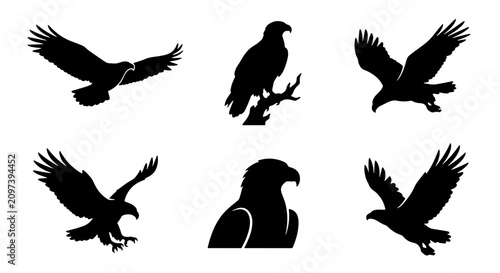 Canvastavla 70 Eagle Silhouettes Vector Set, Majestic Bird Icons, Wildlife Graphics, Predato