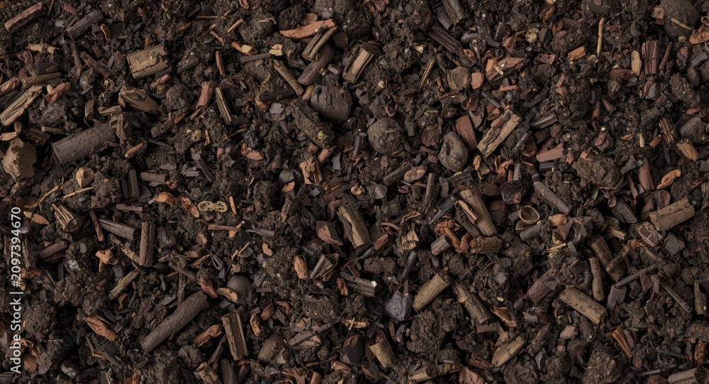 Fototapeta premium Dark Soil Texture with Organic Matter and Mulch Elements