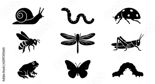 Konstfotografi 70 Insect and Garden Critter Icons Set, Vector Silhouettes of Snail, Worm, Ladyb