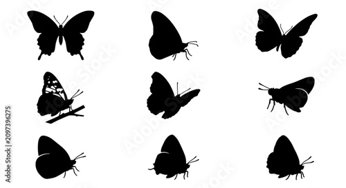 Obraz na płótnie 70 Butterfly Silhouettes Collection, Insect Wing Shapes, Nature Vector Icons, De