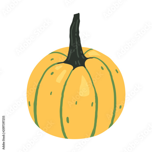 Yellow pumpkin with green stripes and dark stem. Hand drawn vector illustration.
