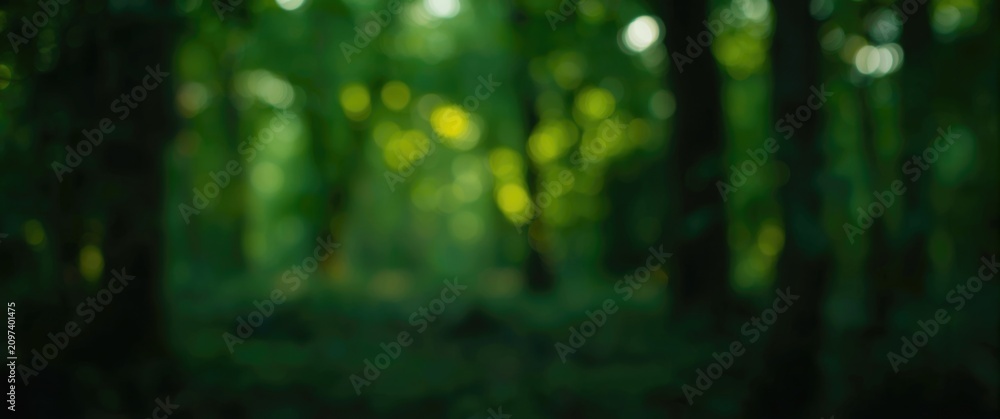 Fototapeta premium blurred forest background with soft green tones