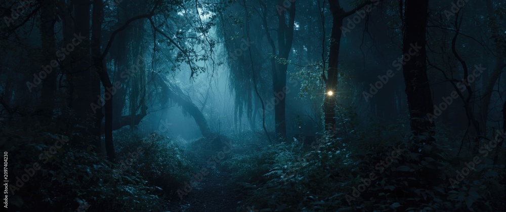Obraz premium Mysterious Forest Pathway Illuminated by Soft Light in Foggy Atmosphere