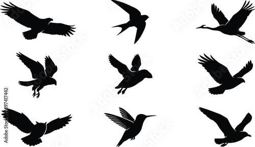 Photography Flying birds silhouette icon set featuring eagle swallow crane owl hummingbird a