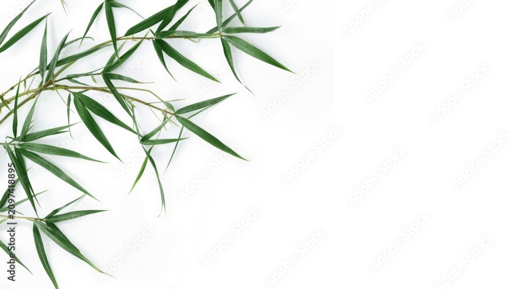 Naklejka premium Bamboo leaves arranged on a white background