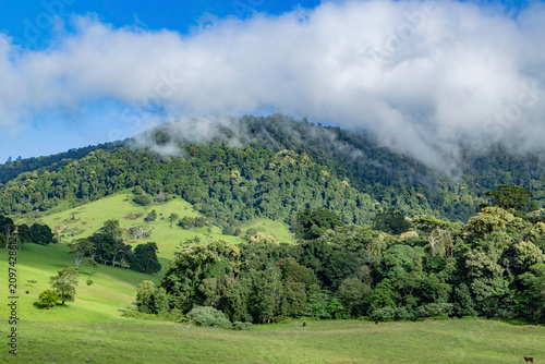 landscape in the mountains