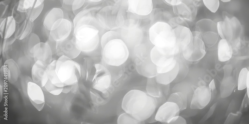 Abstract Black and White Bo...