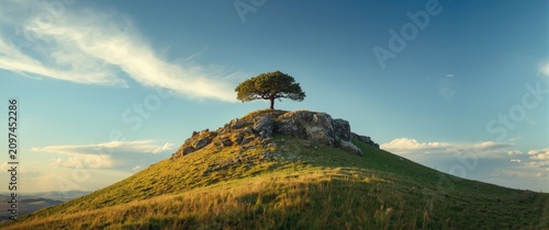 Lone Tree on a Hilltop Surr...
