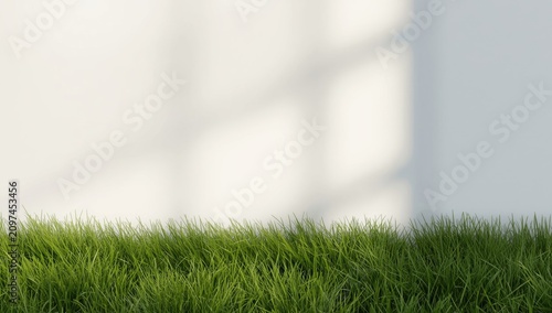 Green grass in front of a w...