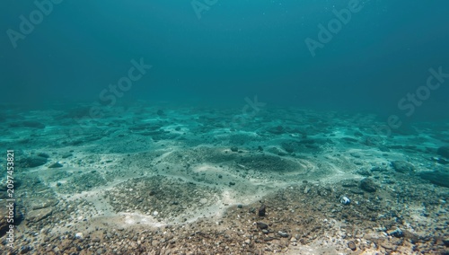 Underwater Landscape with R...