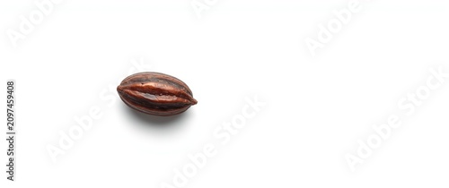 Single Brown Seed Isolated ...