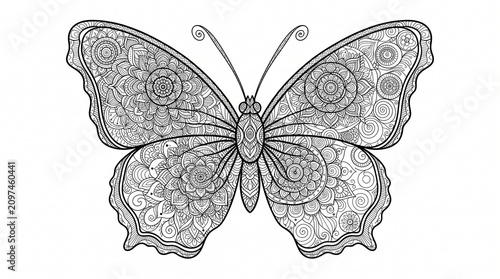 Intricate Butterfly Mandala Line Art Coloring Page Illustration