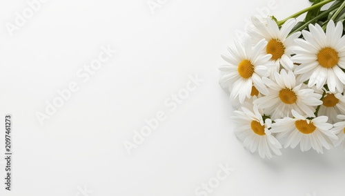 Bouquet of white daisies on...