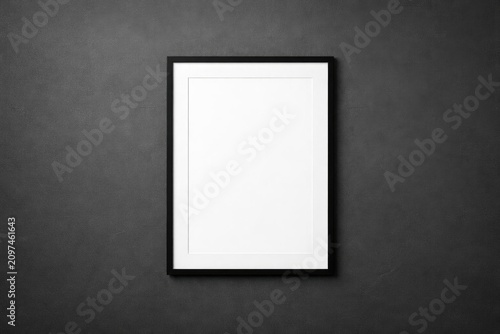Blank Picture Frame Hanging...