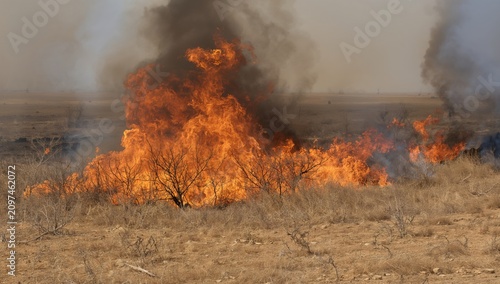 Wildfire Burning Through Dr...