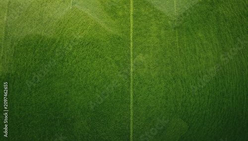 Aerial View of Green Grass ...