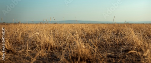 Dry Grassland Landscape und...