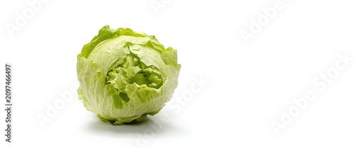 Fresh Green Lettuce Head Is...