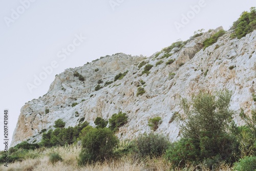 Rocky seashore hillside with vegetation