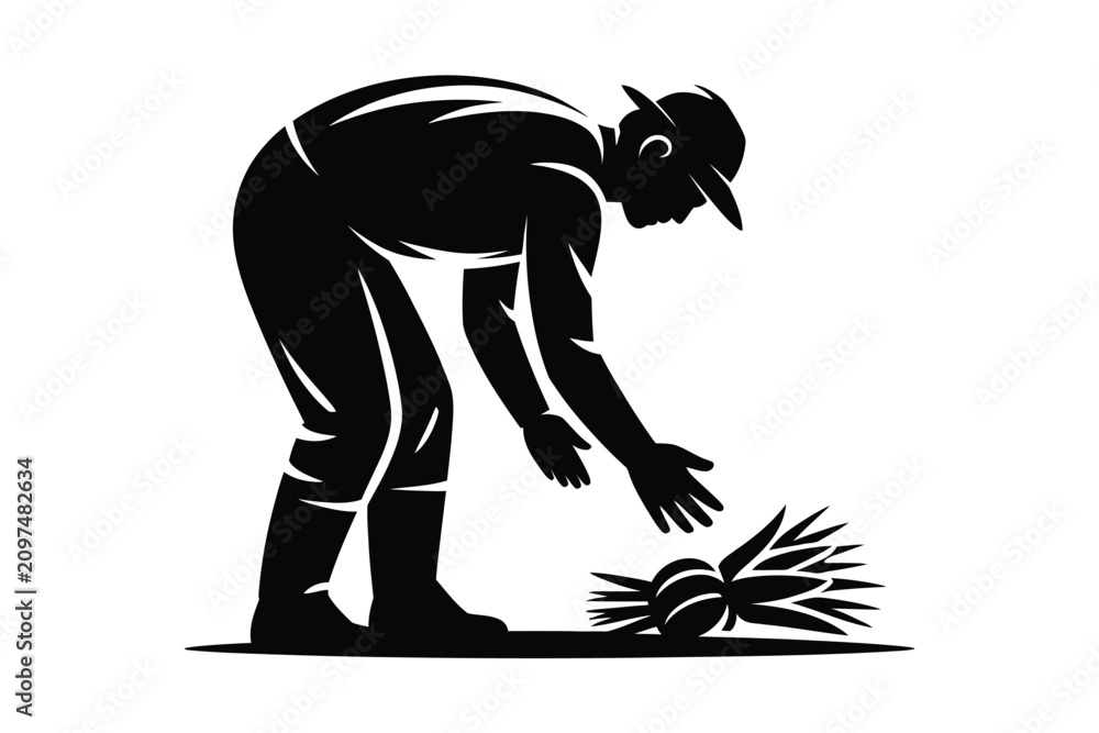 Fototapeta premium Black and white vector silhouette of an agricultural worker or jimador farmer bending down to harvest agave plants or crops in a farm field