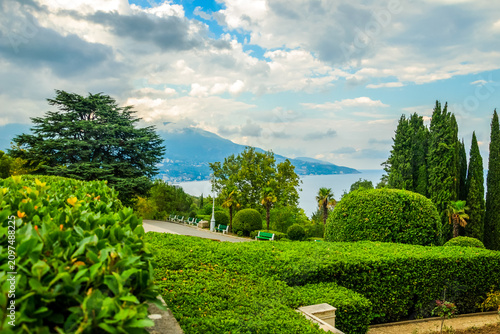 Fotografija Crimea Yalta Botanical Garden Cypress and Bushes Sea View Cedar Tree Bright Sky