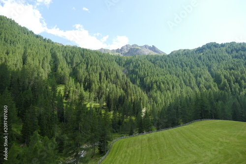 Prato Alpino