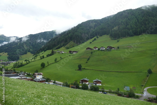 Prato Alpino