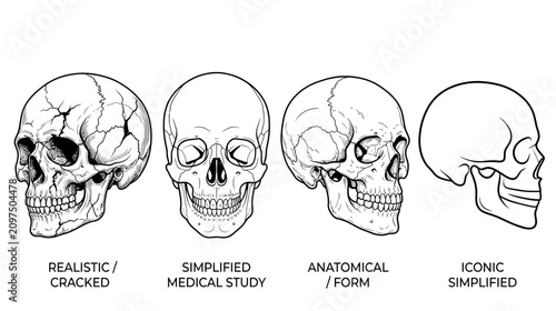 Quadro su tela Human Skull Anatomy: Realistic, Medical, Anatomical, and Iconic Styles