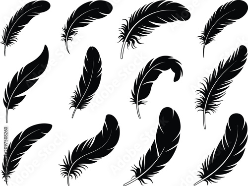 Set of black bird feather silhouettes in various shapes and sizes with silhouette collection isolated decoration ornament blackwork stylized illustration abstract composition wildlife